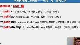 学英语视频成人教程视频,成人学英语视频教程精华概述