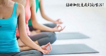 成人瑜伽偃师视频大全,成人瑜伽视频大全精华集锦