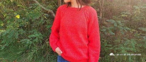 成人针织视频教程免费,跟随免费成人针织视频教程轻松掌握编织技巧