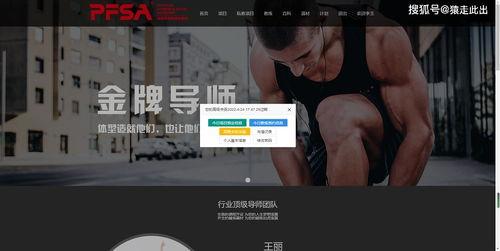 撸撸成人教程视频简单,轻松掌握成人知识要点