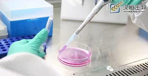 成人吸痰器简易操作视频,简易成人吸痰器操作视频解析