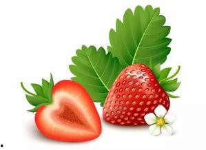 草莓视频成人推荐免费,揭秘热门成人推荐，免费畅享精彩内容！