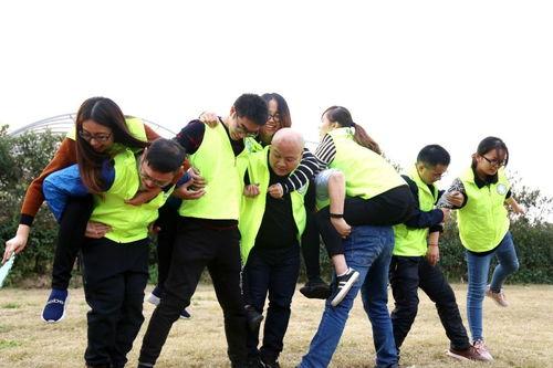 成人团结训练视频下载,凝聚力量，共筑和谐团队